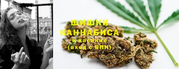spice Вяземский