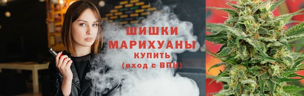 spice Вяземский