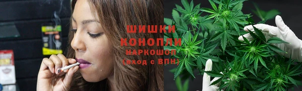 spice Вяземский