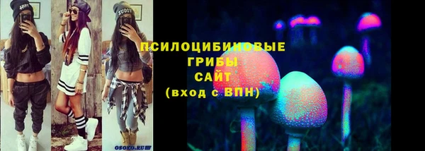 прущая мука Вязьма