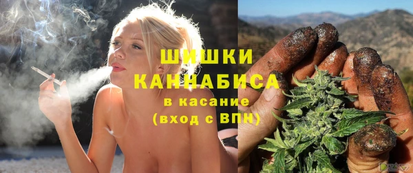 spice Вяземский
