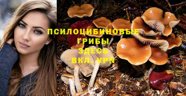 прущая мука Вязьма