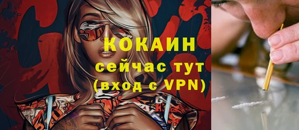 spice Вяземский