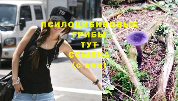 прущая мука Вязьма